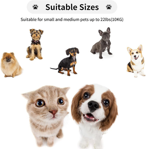 Retractable Dog Leash for Small and Medium Dogs up to 22lbs, 9.8ft Strong Nylon Tape, Portable with Wrist Strap