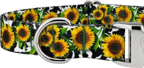 Country Country (1 Inch, Brook Petz - Premium Dairy Fields Dog Collar - and Western Collection Featuring Rustic Designs