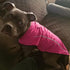 Mile High Life Dog Raincoat, Adjustable Waterproof Reflective Jacket for Small Medium Large Dogs (Hot Pink, M)