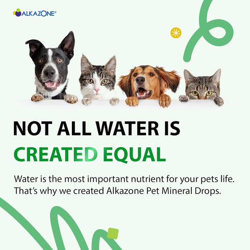 Alkazone Alkaline Multi Mineral Drops for Cats and Dogs, Benefits from Alkaline Water with Minerals