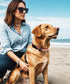Dog Collar for Medium Dogs, High-end Crafted Adjustable Length with Quick Release Buckle, Unique Design, 12-16 inches