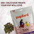 Pupford Freeze Dried Training Treats for Dogs & Puppies, 240+ Bites (Turkey & Veggies, 5 oz)