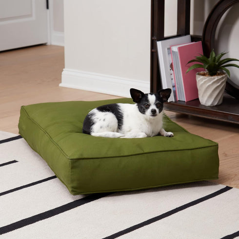 Casey Small Hunter Rectangle Indoor/Outdoor Pillow Style Dog Bed (36 x 24 in.)