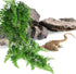 (2 Pack) PINVNBY Reptile Plants Hanging Fake Vines Boston Climbing Terrarium Plant with Suction Cup for Bearded Dragons