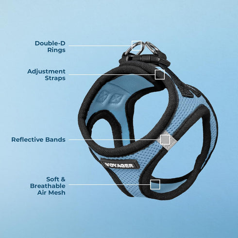 Voyager Step-In Air Dog Harness - Baby Blue/Black Trim, All Weather Mesh, Reflective, No Pull for Small, Medium Dogs,