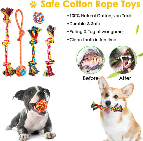 Dog Puppy Toys 23 Pack - Puppy Chew Toys for Fun and Teeth Cleaning - Squeak Toys and Tug of War Toys