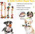 Dog Puppy Toys 23 Pack - Puppy Chew Toys for Fun and Teeth Cleaning - Squeak Toys and Tug of War Toys
