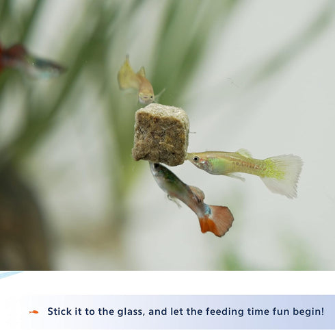 Aqueon Stick'ems Freeze-Dried Pet Fish Treat for Picky Eaters