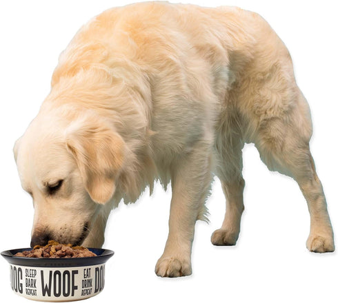PetRageous Eat Drink Repeat Two-Tone Stoneware Dog Bowl, 4-Cup Capacity, Dishwasher Safe, Off-White.