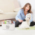 5 Minimalist White Dog Cat Grooming Supplies Organizer, Portable Caddy with Compartments