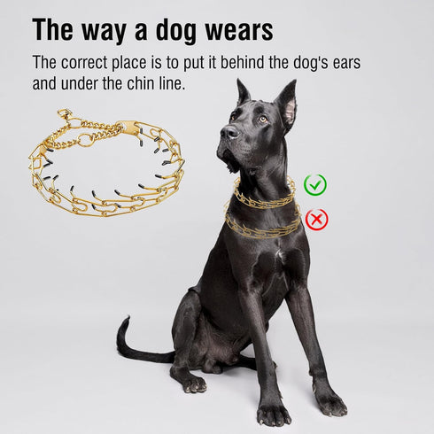Gold Stainless Steel Dog Pinch Collar, Adjustable No Pull Martingale Training Collar for Medium & Large Dogs