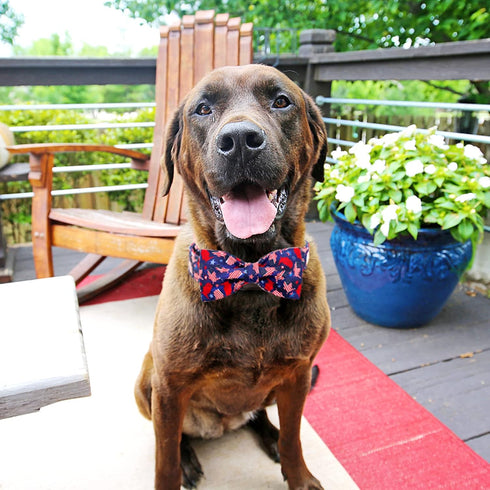Dog Collar, 4th of July Independence Day American Flag Bowtie Collar for Small Medium Large Dogs, Durable Pet Bow Collar