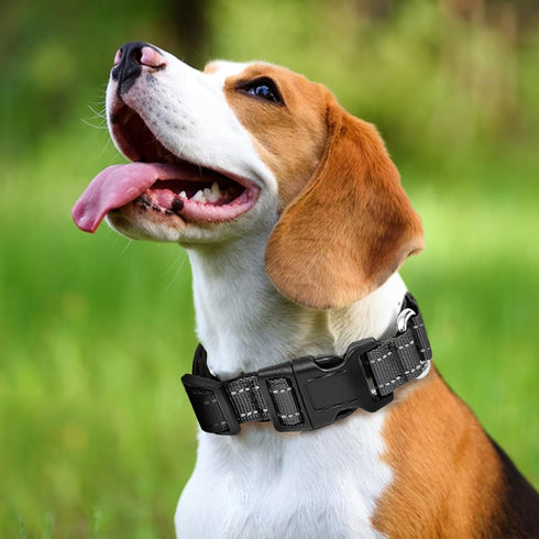 Reflective Martingale Dog Collar with Quick Release Buckle, Adjustable Soft Padded Nylon Collar for Small Medium Large