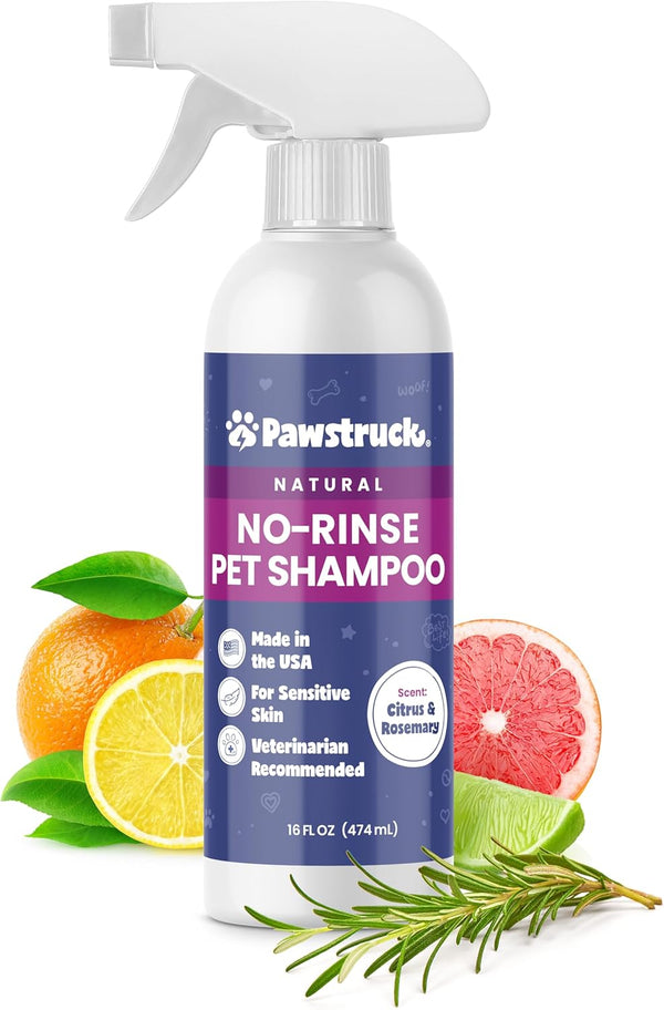 Pawstruck Natural No-Rinse Dry Shampoo for Dogs, Citrus & Rosemary Waterless Deodorizing Spray - 16 fl oz