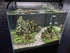 Natural Stone Aquarium Decoration, 8.8lb Dragon Stone Rock, Mixed Sizes for Micro Landscape Fish Tank Decor