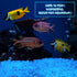 Glow in The Dark Gravel, 300g Fluorescent Decorative Rocks for Fish Tank and Garden Planter