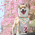 Dog Bandana, 1PC Cute Pink Flowers Print Comfortable Bandanas for Small Medium Large Dogs