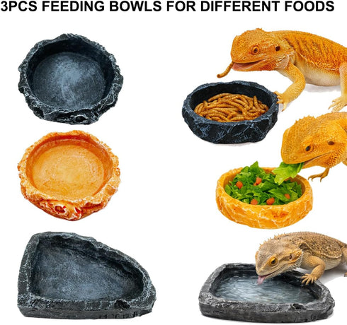 Enochainchin 10pcs Set Bearded Dragon Tank Accessories Kit Reptile Water Food Bowl, Feeding Tongs with Rubber Tip
