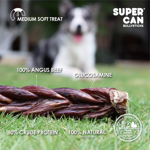 6" (10pc) 100% SUPERCAN BULLYSTICKS Braided Beef Bully Sticks for Small Medium Large Dogs - Natural Dog Chews - Long
