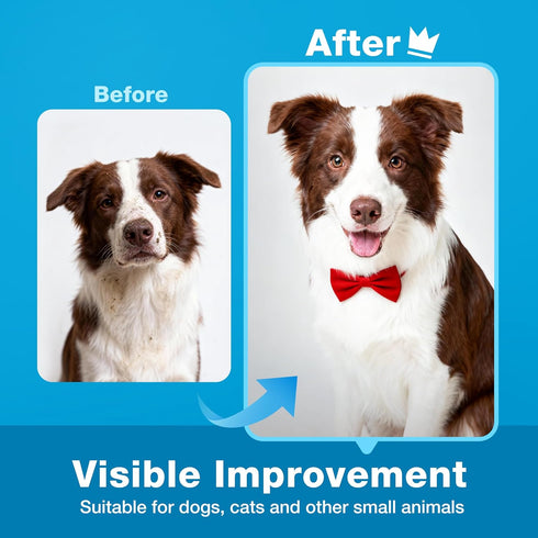 600 Count, 100% Prime Pets Dog Wipes for Paws and Butt, Pet Wipes for Dogs & Cats, Fragrance Free, Deodorizing Puppy