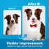 600 Count, 100% Prime Pets Dog Wipes for Paws and Butt, Pet Wipes for Dogs & Cats, Fragrance Free, Deodorizing Puppy