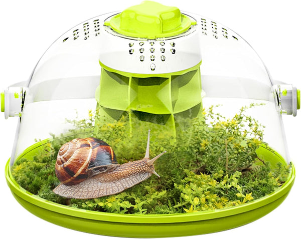 Round Transparent Snail Terrarium Kit, Small Animal Carrier with Removable Base, Portable