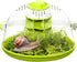 Round Transparent Snail Terrarium Kit, Small Animal Carrier with Removable Base, Portable