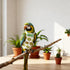 LXUEJIE 4 Pcs Bird Diaper, Cute Pet Bird Diaper, Parrot Nappy Reusable Flight Suit with Waterproof Inner Birds Diapers