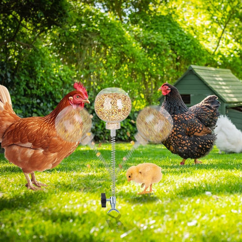 Kalekey 4 Pack 11" Chicken Feeding Toy, Chicken Enrichment Toys with Spring and Metal Ground Stake, Chicken Treat