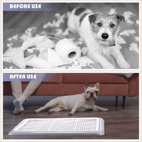 Bathroom(19.69 14.17 Inch) Mifoci Dog Training Pad Holder with Mesh Tray Non-Slip Leak Proof Puppy Potty Tray for Small