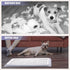 Bathroom(19.69 14.17 Inch) Mifoci Dog Training Pad Holder with Mesh Tray Non-Slip Leak Proof Puppy Potty Tray for Small