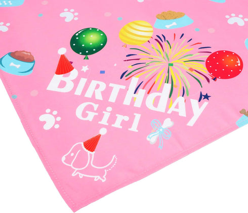 ADOGGYGO Dog Bandana Hat Set for Birthday Party Supply, Large Pink Scarf for Medium Large Dog