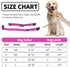 NESTROAD Reflective Dog Collar and Leash Set, Soft Neoprene Adjustable Nylon Collar for Small Medium Large Dogs (Small