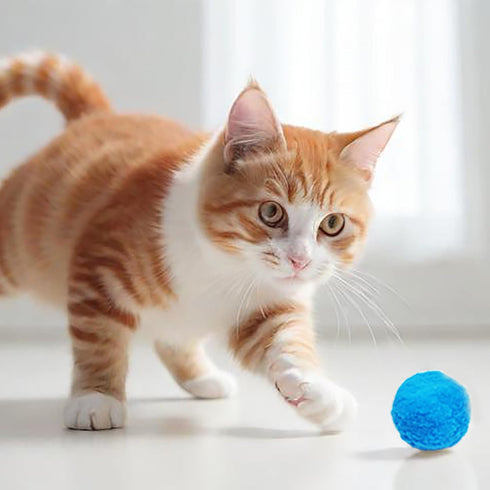 DJRDym 20 Pack 1.8 Inch Interactive Pet Play Pompoms - Soft, Non-Toxic Toy Balls for Cats & Dogs, Lightweight Balls