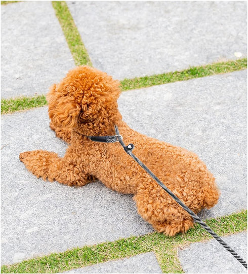 8FT Slip Lead Dog Leash, 1/3” Strong Rope, Adjustable No-Pull Leash for Small and Medium Pets (Black)