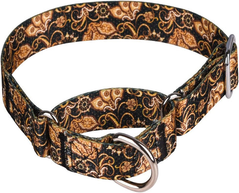 Heavy Duty Nylon Adjustable Martingale Dog Collar for Walking Training, Medium Large Dogs, Gold