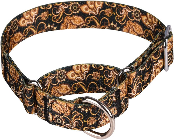 Heavy Duty Nylon Adjustable Martingale Dog Collar for Walking Training, Medium Large Dogs, Gold
