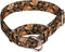 Heavy Duty Nylon Adjustable Martingale Dog Collar for Walking Training, Medium Large Dogs, Gold