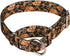 Heavy Duty Nylon Adjustable Martingale Dog Collar for Walking Training, Medium Large Dogs, Gold