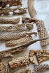 14x4x4 1 12", 10-15 Teddy Bear Cholla Wood Shards Natural Hermit Crab Treats & Habitat Enrichment for Reptiles, Fish