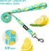 azuza 3 Pack Fruit Design Nylon Dog Leashes, Strong & Durable Basic Leash for Small Dogs, 6FT, 5/8"