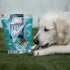 SKIPPER'S Cod Fish Skin Finger Dog Treats 9 Oz - All Natural & Healthy Fish Skin Sticks, Air Dried Chews for Dogs