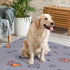 2 Pack 48"x48" 100% Washable Pee Pads for Dogs, Large Super Absorbent Reusable Training Pads, Waterproof Non-Slip