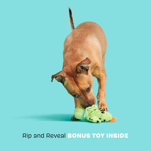Barkbox BARK Prickly Pete Rip & Reveal Chew Toy for Dogs and Puppies, Small