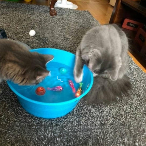 TeDDinke Swimming (6) Fish Toy for Cats,Glowing Waterproof Cat Water Toy with Adjustable Speed and Realistic