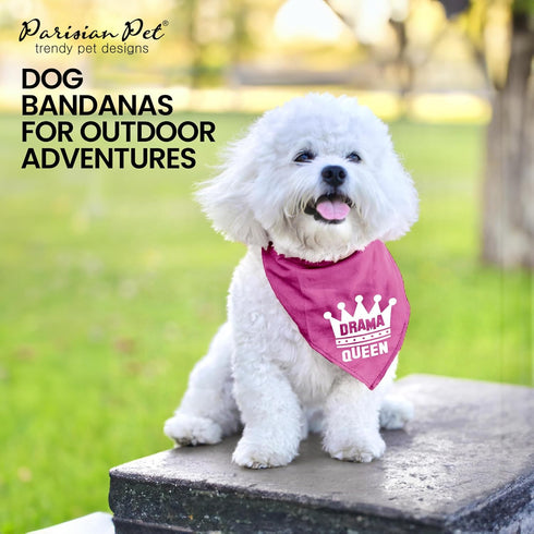 Parisian Pet Drama Queen Dog Bandana - Small