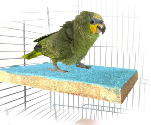 Litewoo Bird Perch Grinding Stand for Parrot Budgie Cockatiel Conure Lovebird Finch (5.1" x 3.5")