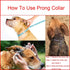 Prong Collar for Dogs - Adjustable Stainless Steel Training Collar for Large, Medium, and Small Dogs