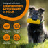 Indestructible Dog Chew Toys, Squeak & Non-Squeak, Interactive Teeth Cleaning Toys for Aggressive Chewers