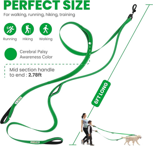 Dual Dog Leash for Small to Large Dogs, 6 FT Heavy Duty with Double Handles for Training, Walking, Running